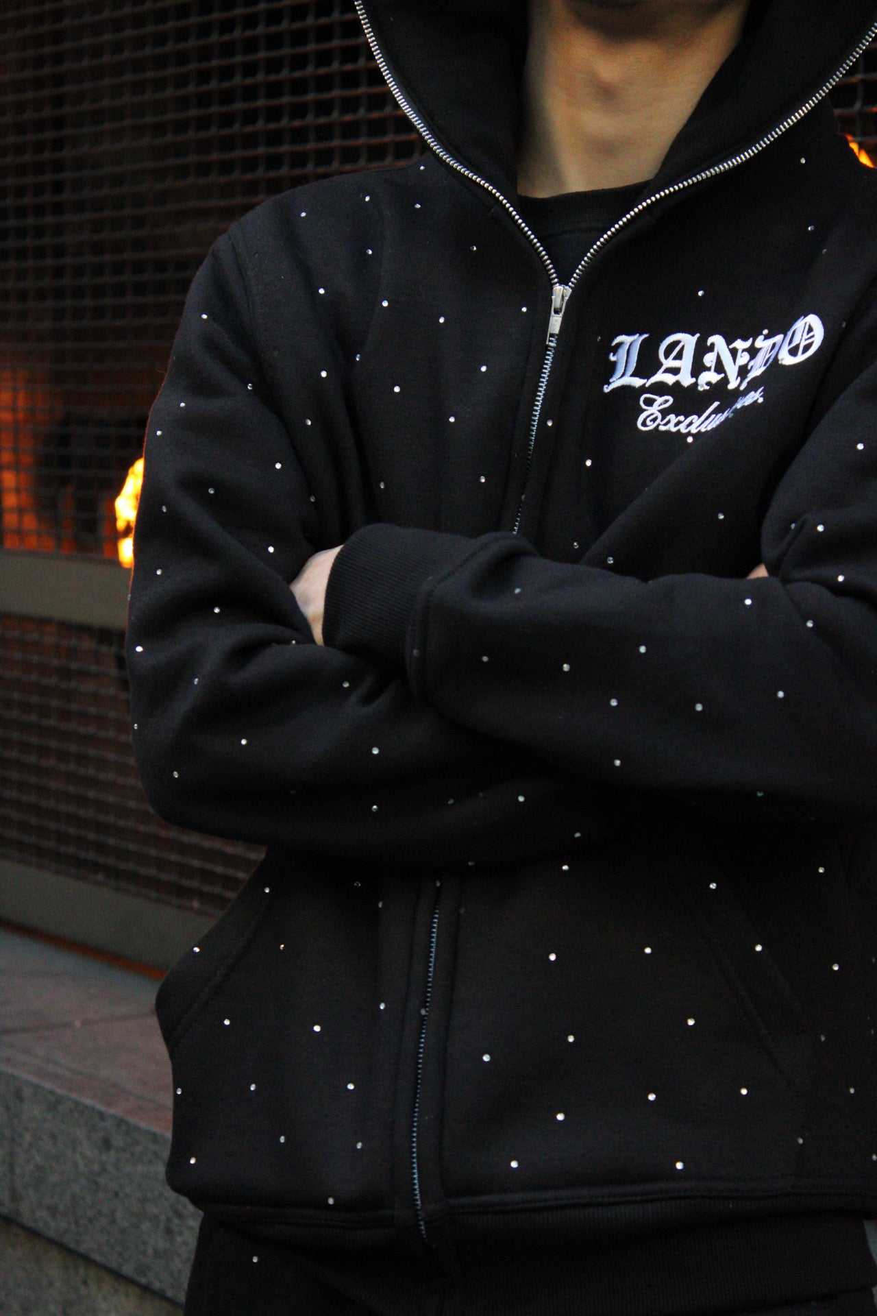 Lando Rhinestone Hoodie